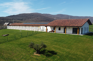 Hotel <br>Canino - Felino