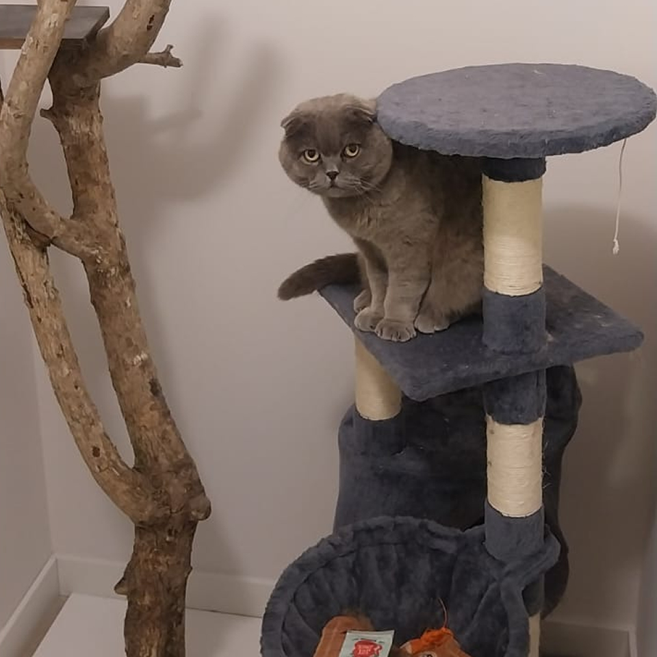 Hotel Canino Mendixurbe 5